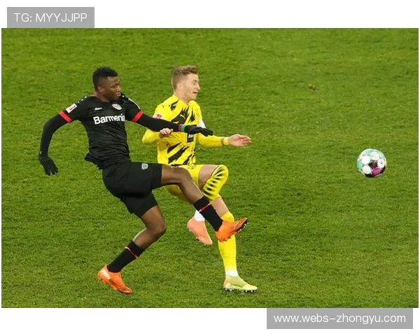 德甲第17轮观众人数统计：暴雪致主场 attendance 下滑